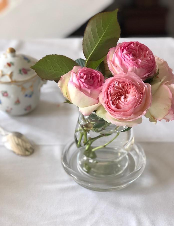 Bed and Breakfast La Fedrie La Croix-en-Touraine Zewnętrze zdjęcie