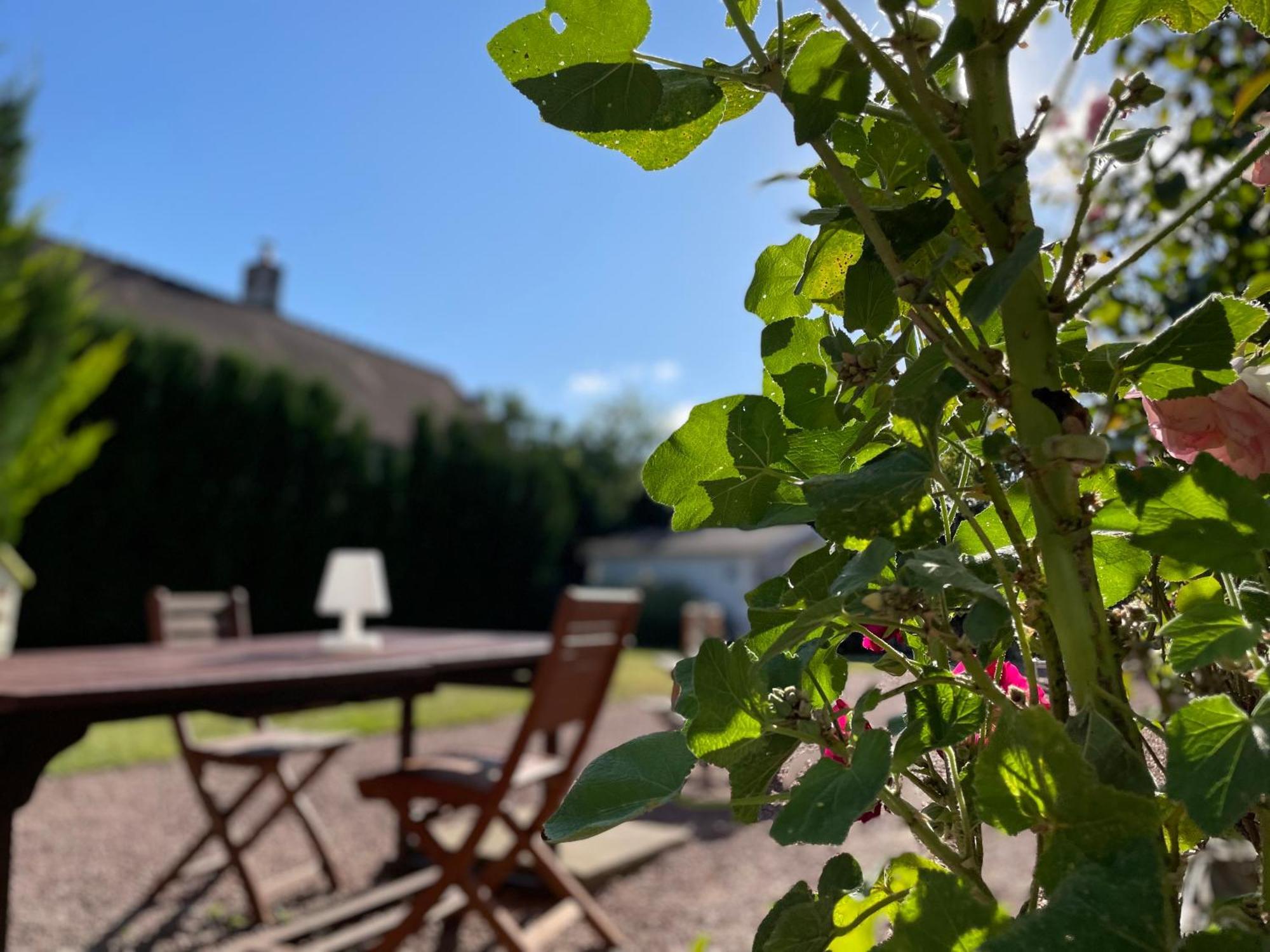 Bed and Breakfast La Fedrie La Croix-en-Touraine Zewnętrze zdjęcie